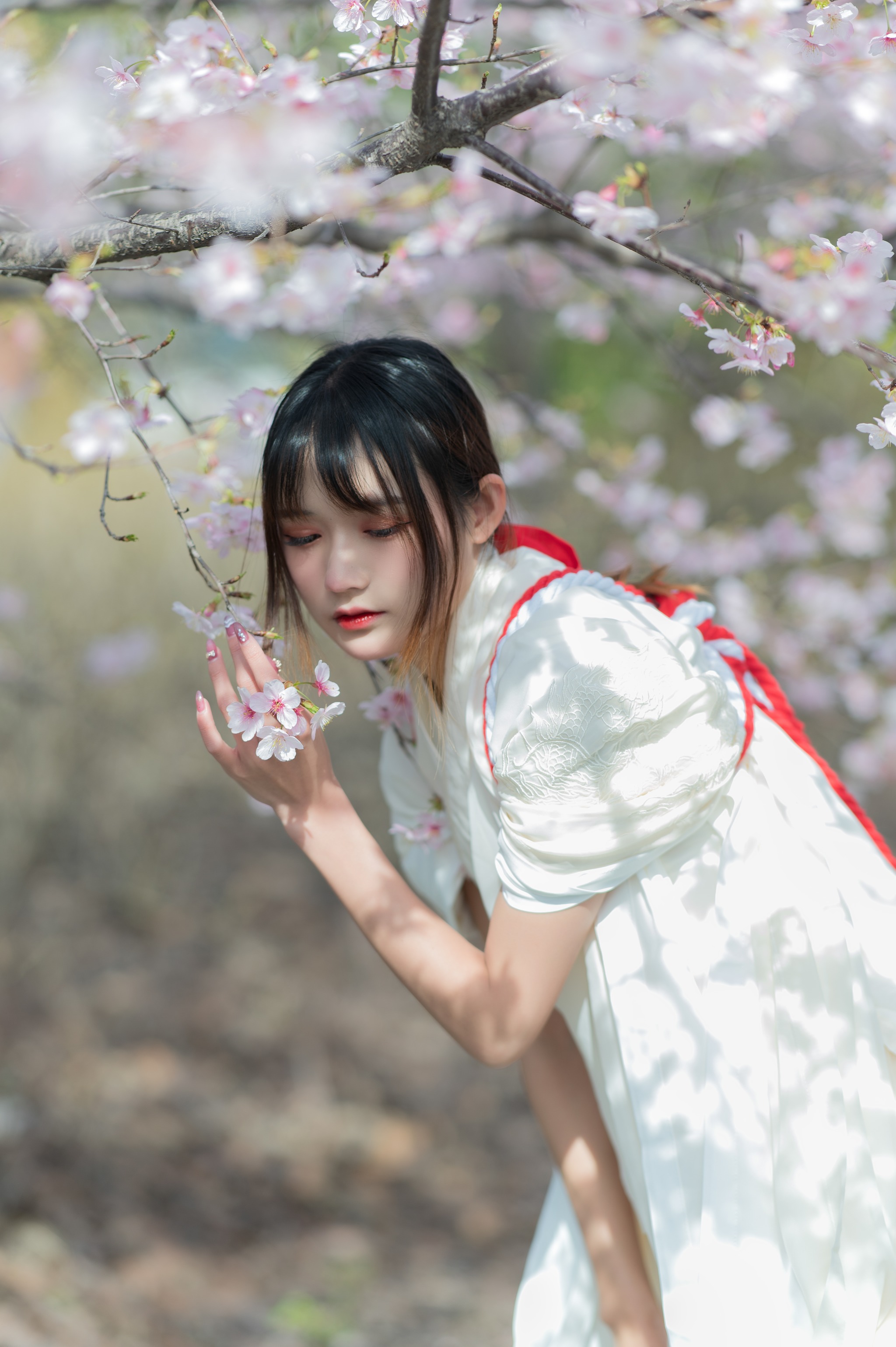 图片[1]-兔子Zzz不吃胡萝卜 – NO.080 樱语[28P]-XikXak